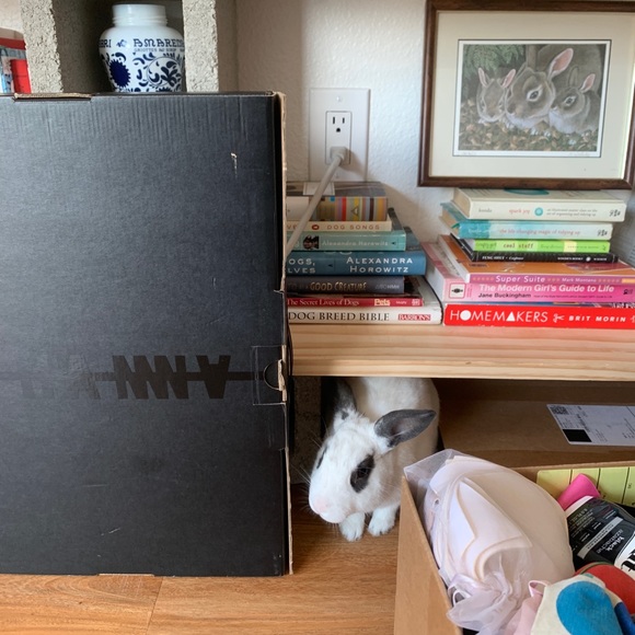 *~*~Open 2 offers~*~* - Picture 14 of 15